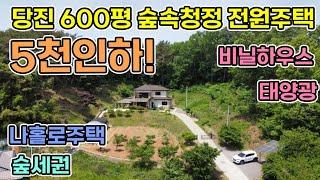 당진시 정미면 600평 청정지역 숲속의 집 철근콘크리트주택으로 주택 앞 넓은 400평대 텃밭을 가꿀 수 있는 집 태양광과 주차장 공기맑은 지역 당진전원주택 서산전원주택 시골집매매