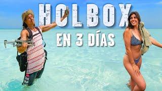 ¿Merece la pena HOLBOX?  Viajar a México #4: Holbox