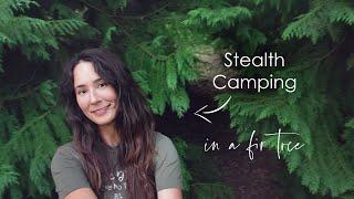 Stealth Camping in a Fir Tree 