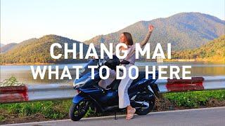 What can you visit and eat in Chiang Mai City in the North of Thailand by scooter?