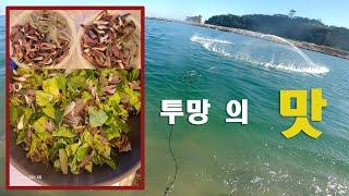 **후크맨**투망으로 잡아서 맛이는 회덮밥 만들어 먹어보자