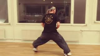C h u a n   b a o - Kungfu Baji Bern
