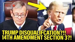 Professor Drops MAJOR UPDATE on Trump DISQUALIFICATION?!