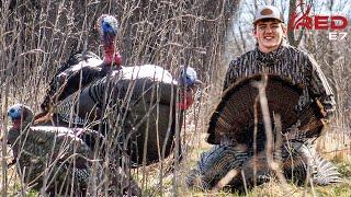 Cementing The Hunting Heritage In Iowa, Three Gobblers Charge Into Range #hunting #turkeyhunting