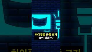 하이푸로 근종 크기 줄인 뒤에는 어떤 치료가 필요할까요? #점막하근종