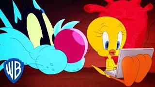 Looney Tunes | Tweety's New Home | @WB Kids