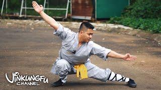 Hướng Dẫn Luyện Ngũ Bộ Quyền Võ Thiếu Lâm | Five Stance Form 五步拳 (Wu Bu Quan) | VinKungfu