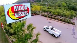 Moon Valley Nurseries in Escondido, California