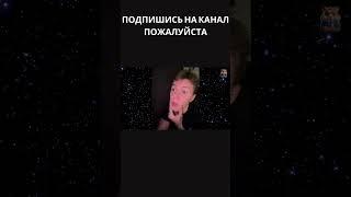 #Угарный Хамстер #Я РЖАЛ ДО СЛЕЗ 15 Минут ОТБОРНЫХ ПРИКОЛОВ 2024 Смешные видео #shorts