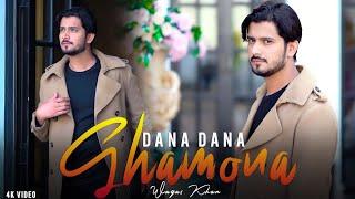 Dana Dana Ghamona - Tappy | Waqas Khan | Pashto New Songs 2025 | Official Music Video