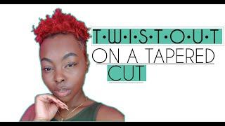 Doing a twistout on my type 4 natural hair. Styling my tapered cut + Tips for the best twistout.