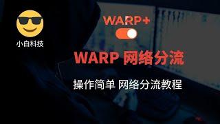 WARP分流，WARP网络分流教程，区分网络流量代理，优选IP，WARP多节点设置！！！