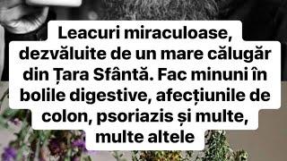 Leacurile miraculoase din Țara Sfântă dezvăluite de un mare pustnic! Pentru boli digestive, colon,