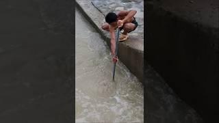 Real Life Fishing, Man Dip Net Fishing In The River [part 279] #fishing #fishinglife