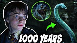 How Did Slytherin's Basilisk SURVIVE in the Chamber of Secrets for 1000 Years? - Harry Potter Theory