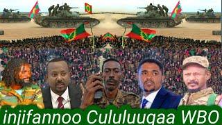 12/11/2024 injifannoo Cululuuqaa WBO loltoota mootummaa 69 du'aan adabee 92 madeesse 21 boji'ee jira