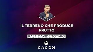 Il terreno che produce frutto - Davide Totaro - 12 Settembre 2024