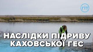 Науковці дослідили екологічні наслідки підриву Каховської ГЕС I Юлія Мархель