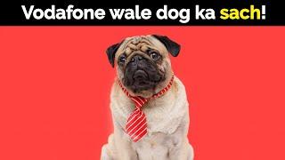 Vodafone wale dog ka sach!