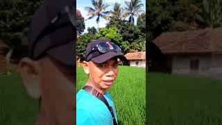 DESA LINGGAMUKTI