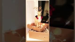 Рождественский олень своими руками 
