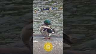  TECHNO - ENTE  #techno #ente #duck #music #funnyvideo #funnyduck #funny