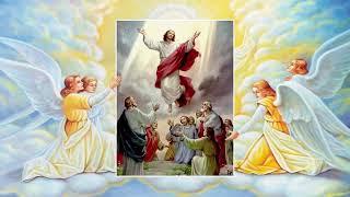 Holy Rosary - Glorious Mysteries - Wednesday and Sunday