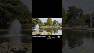 *HIGHLIGHTS* Tranquil Walk: (FULL 4K ON YT) UMHB University of Mary Hardin-Baylor