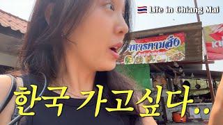 Chiang Mai ep12. 도마뱀, 비둘기, 그리고 지진.. 계속 살 수 있을까? (ซับภาษาไทย/eng sub)