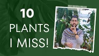  The Top 10 Plants I’d Grow Again in a Heartbeat! 