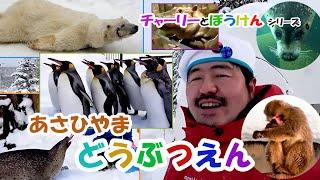 「冬の動物園にはどんな動物がいるのかな？」 チャーリーと冒険！ / 旭山動物園編 / キッズにおススメ！　/　ひなたお姉さんコラボ