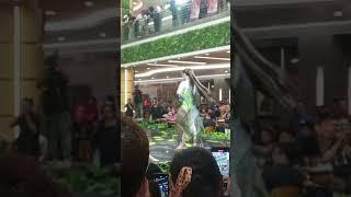 Binibining Pilipinas 2024 - Swimsuit Competition | Binibini 28 - Zeneth Khan (Isabela Province)