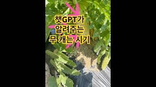 ChatGPT 가 알려 주는 무 캐는 시ㄱㅣ #포한국강사교육협회 #미래교육아카데미 #챗gpt강사 #ai강사맞수다