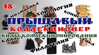 ВИДЫ КОЛЛЕКЦИОНИРОВАНИЯ