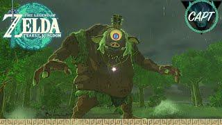 Monster Medal: Hinox Hunt ~ Tears of the Kingdom || The Burger Stream