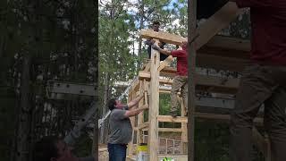 Timber Framing Kong Style