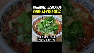 한국인의 유전자가 진짜 사기인 이유