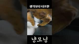 6년 같이 살면서 처음 봄ㅋㅋ