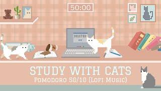 Study with Cats  Pomodoro timer 50/10 | Soft lofi + Cat animation for a stress-free study session