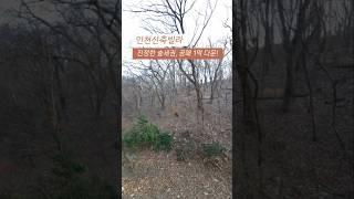 [남동구] 인천신축빌라 진정한 숲세권 숲조망 공매 1억 할인 집앞이 인천대공원 010-7932-4933 #인천신축빌라 #장수동신축빌라 #인천숲세권빌라 #인천대공원빌라 #라온하제