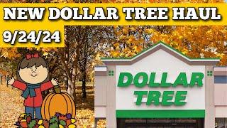 Check Out My Latest Dollar Tree Finds - September 24, 2024!