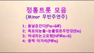 정통트롯(마이너)#원정인 하모니카#무반주연주모음