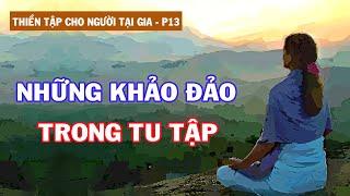 Những Khảo Đảo Trong Tu Tập | Thiền Tập Cho Người Tại Gia – Phần 13