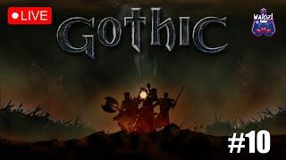 Walczi gra w: Gothic LIVE 10