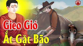 Chuyện Phật Giáo Đêm Khuya Gieo Nhân Gặt Quả Ác Giả Ác Báo Nghe Rơi Nước Mắt