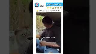 عندما يمزح الأسد  #ترند #العراق #ضحك #اكسبلور #shorts #shortsvideo-