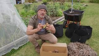 How to plant potatoes in grow pots