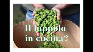 Il luppolo in cucina? Naturalmente si.