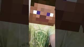 i am steve