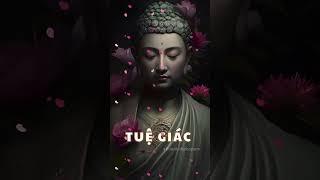 TUỆ GIÁC : Ngọn đèn soi đường nhân sinh, khai mở tiềm năng vô hạn